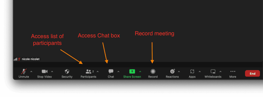 desktop screenshot of zoom meeting with arrows indicating location of mute button, video button and record button